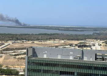 Incendio en Parque Isla Salamanca provoca densa columna de humo