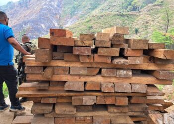 En Sierra Nevada decomisan madera producto de la tala ilegal