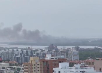 La zona protegida del Vía Parque Isla Salamanca nuevamente amenazada