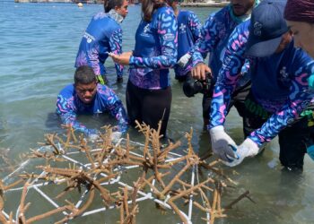Corpamag celebró el Día Mundial de los Arrecifes
