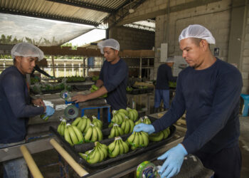 Asbama alerta sobre el impacto que los racionamientos eléctricos en Magdalena