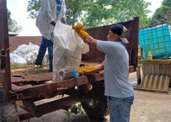 Corpamag lidera décima jornada de recolección de residuos posconsumo
