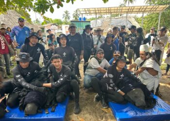 Liberaron dos manatíes en Santa Marta