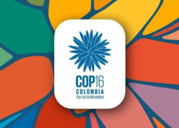 60% de los colombianos desconoce conceptos básicos de la COP16