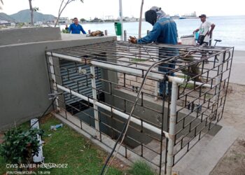 Restablecen el servicio eléctrico en el Camellón de la Bahía