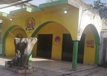 Autodefensas Conquistadoras de la Sierra Nevada desmienten autoría de panfleto que generó temor en Algarrobo