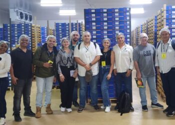 Tratan de llevar el mango del Magdalena hasta el Perú