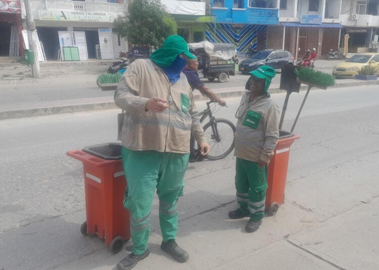 En la carrera 19 de Santa Marta hay un gigante escobita que atrae las miradas