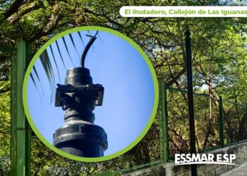 Robo de luminarias deja sin iluminación al Camellón de las Iguanas en El Rodadero