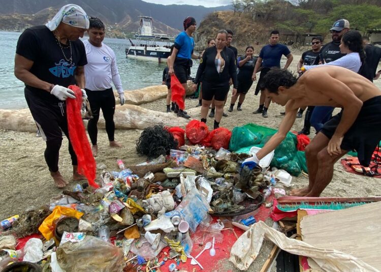 Extraen del mar de Taganga 103 Kg de basuras y liberan tortugas