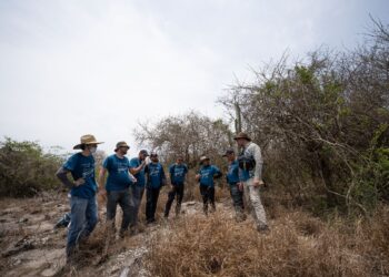 Documental ‘Concheros de la Ciénaga Grande’: una mezcla de historia, investigación y ciencia