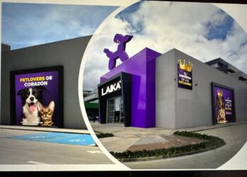 Abren más de 1.000 vacantes a nivel nacional para este año ¿cómo postularse?