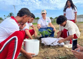 Corpamag lideró siembra de árboles en Santa Marta y varios municipios