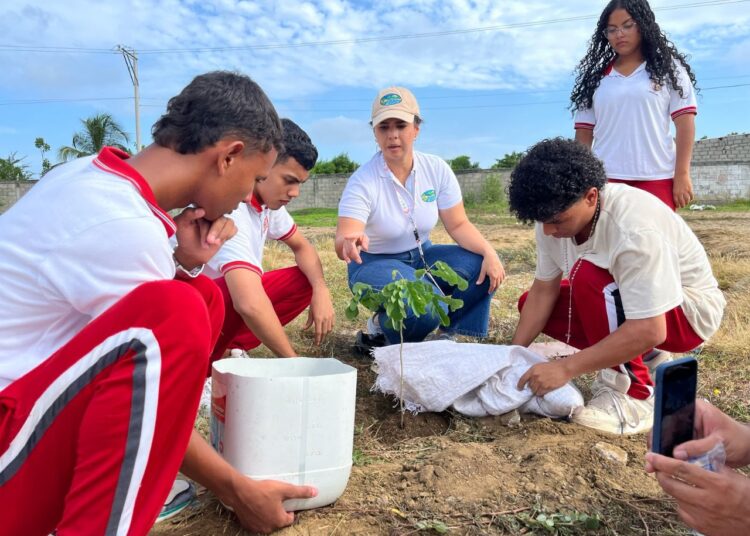 Corpamag lideró siembra de árboles en Santa Marta y varios municipios