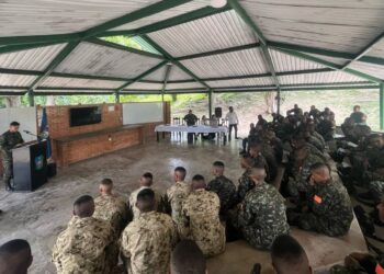 Soldados aprenden viverismo para proteger ecosistemas en el Magdalena