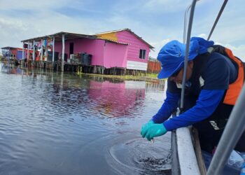 ¿Qué está pasando en la Ciénaga Grande? Invemar investiga mortandad de peces y proliferación de planta invasora en Nueva Venecia