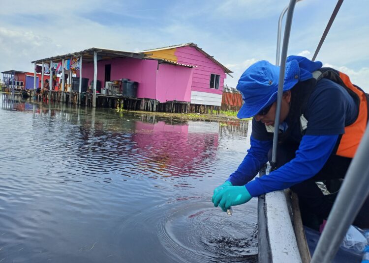 ¿Qué está pasando en la Ciénaga Grande? Invemar investiga mortandad de peces y proliferación de planta invasora en Nueva Venecia