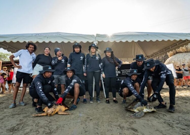 Liberan 67 tortugas marinas en conmemoración del Día Mundial de los Océanos