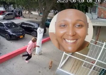 Rechazo en Santa Marta por muerte de perrito a patada: autoridades buscan al responsable