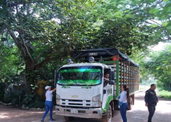 Corpamag se une al operativo nacional de control al tráfico ilegal de productos forestales