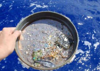 La iniciativa que busca acabar los microplásticos en las playas del Caribe colombiano