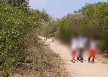 Consternación en Plato (Magdalena) por presunto intento de abuso sexual entre niños