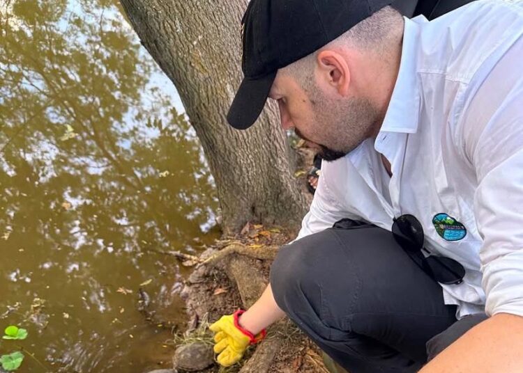 Corpamag y Secretaría Distrital de Ambiente de Bogotá realizan intervenciones en reservas naturales de Plato y Aracataca