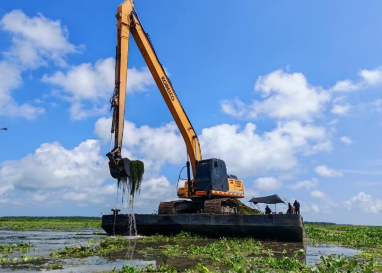 Corpamag inicia pruebas piloto para remover la Hydrilla en la Ciénaga Grande de Santa Marta
