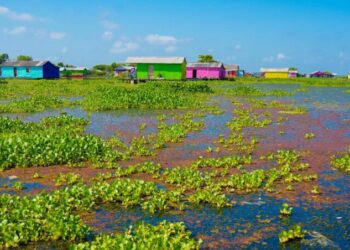 Procuraduría urge a Minambiente atender emergencia en la Ciénaga Grande de Santa Marta