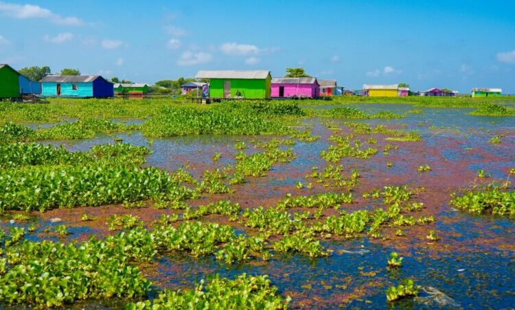 Procuraduría urge a Minambiente atender emergencia en la Ciénaga Grande de Santa Marta
