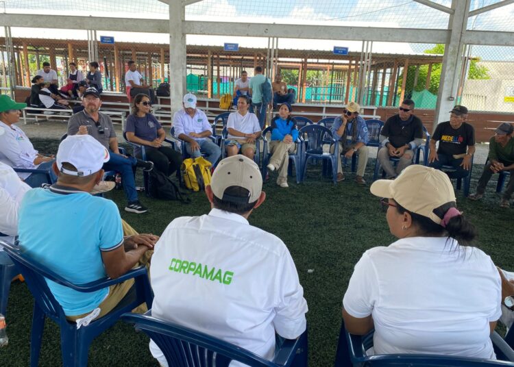 Presentan acciones piloto para control de planta invasora en la Ciénaga Grande