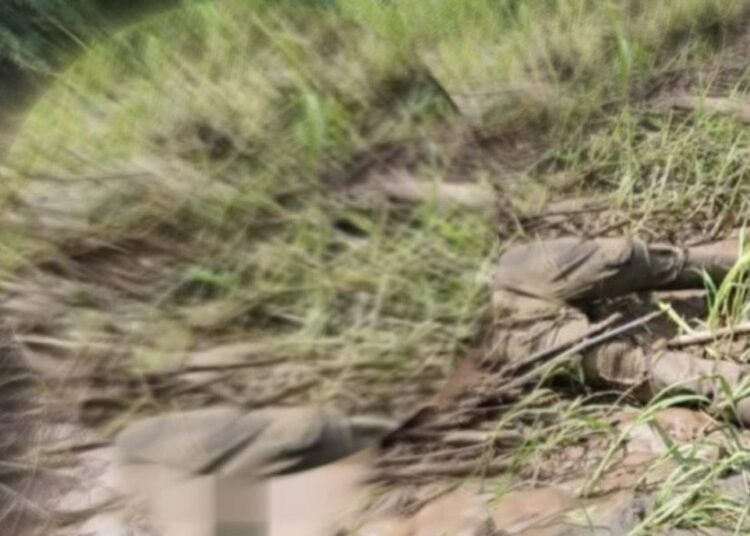 Hallan cuerpo sin vida en la quebrada La Aguja, zona rural de Ciénaga