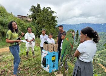 La Lora Serrana inspira la creatividad y conciencia ambiental de niños y niñas del Magdalena