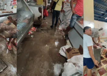 Concejal José Manuel Noguera denuncia grave deterioro del Mercado Público de Ciénaga