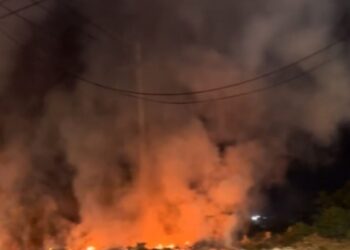 Incendio forestal cerca del futuro terminal de transporte de Ciénaga generó alarma entre los habitantes