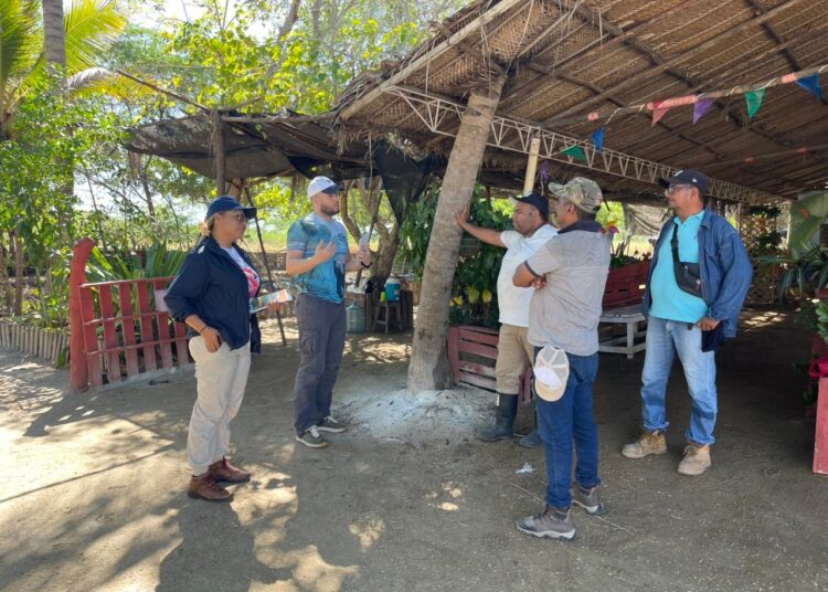 Corpamag y la IED Sagrado Corazón de Jesús presentan proyecto ambiental escolar ante aliados