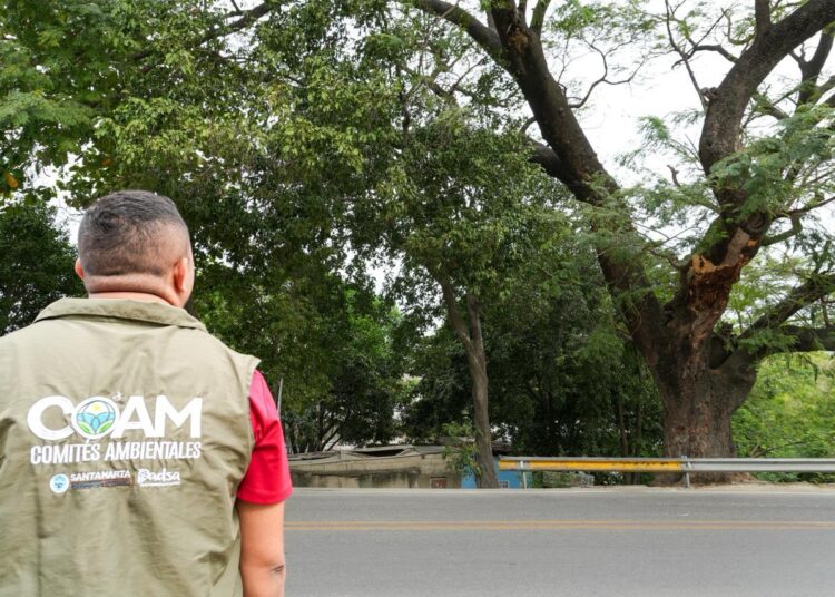 Cierre temporal de la Troncal del Caribe por intervención de árbol en riesgo