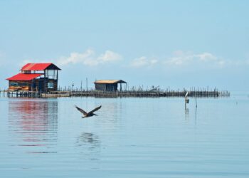 MinDefensa ordenó presencia del Ejército en la Ciénaga Grande; Gobernación entregará dotación por $3.000 millones