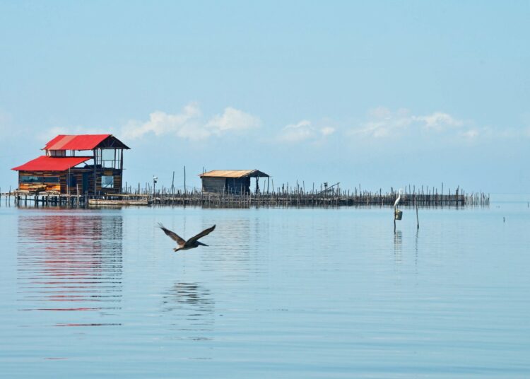 MinDefensa ordenó presencia del Ejército en la Ciénaga Grande; Gobernación entregará dotación por $3.000 millones