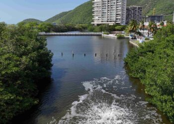 El humedal Lagos del Dulcino en alerta por mortandad de peces