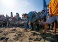 Corpamag lidera liberación de 41 tortugas caguama en Tasajera para fortalecer conservación marina