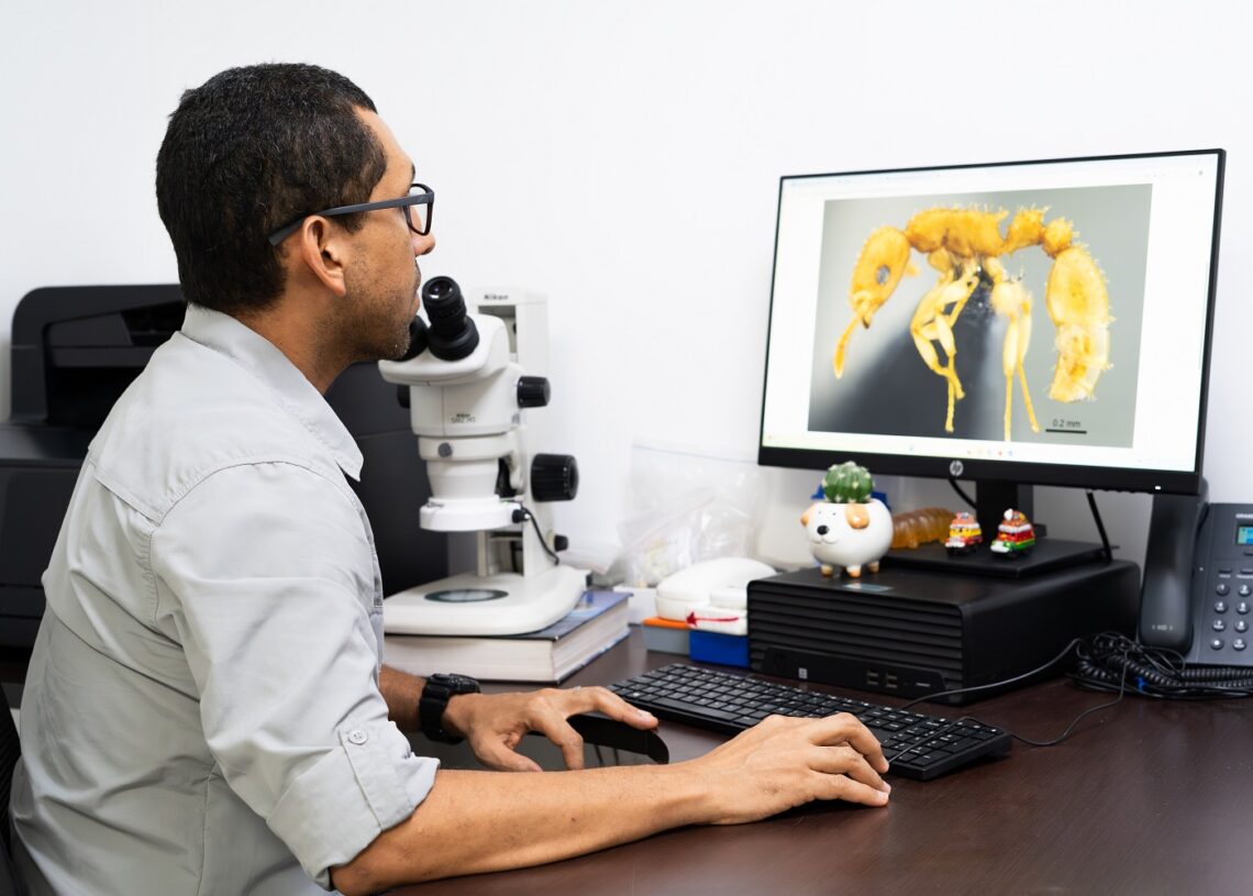 Unimagdalena, primera institución colombiana en integrar la red digital mundial – AntWeb