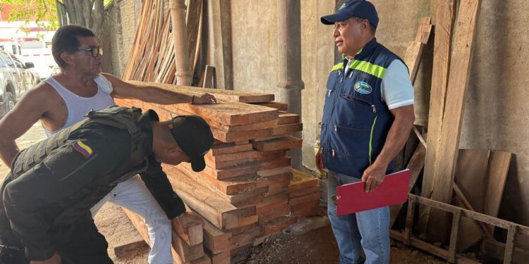 En Magdalena, operativo del año contra el tráfico ilegal de madera