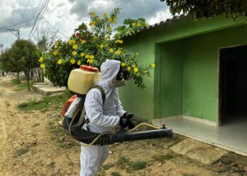 Hospitales públicos del Magdalena en alerta para la atención de casos de dengue