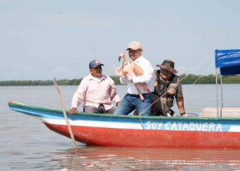 Corpamag libera ocho flamencos en la Ciénaga Grande durante conmemoración del Día de la Tierra