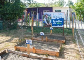 Santa Marta se acoge al Día Cívico de la Paz con la Naturaleza este 17 de abril