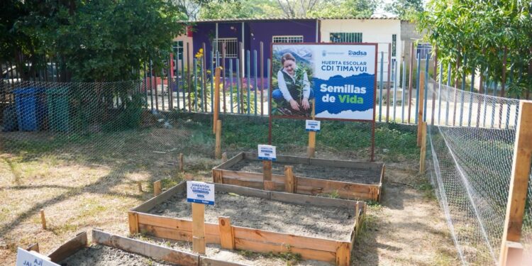 Santa Marta se acoge al Día Cívico de la Paz con la Naturaleza este 17 de abril