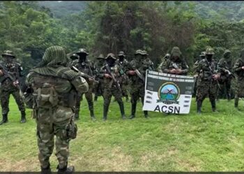 ONU alerta por aumento de asesinatos de líderes sociales y violencia armada en el Caribe