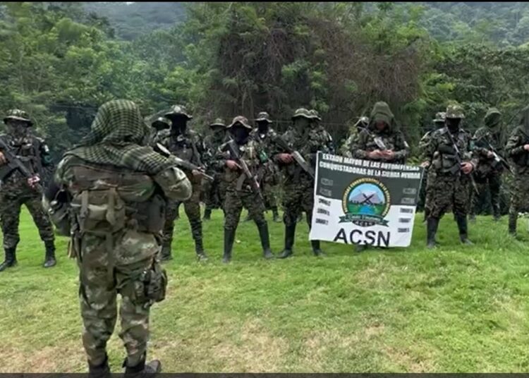 ONU alerta por aumento de asesinatos de líderes sociales y violencia armada en el Caribe
