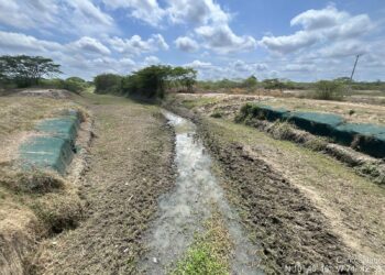 ‘El Niño’ baja caudal del río Magdalena y afecta flujo de agua a caños de la Ciénaga Grande